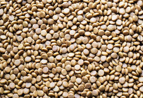 Préparation mentale : gérer la douleur des blessures footballistiques